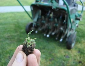 Welk's Lawn Maintenance